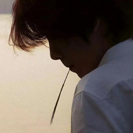 Zeb Community Github - Best Gradient Photos in Ultra HD