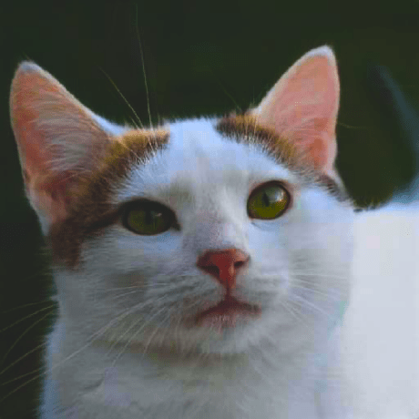 Kai Ssv Github - Vintage Picture Collection - High Resolution Quality