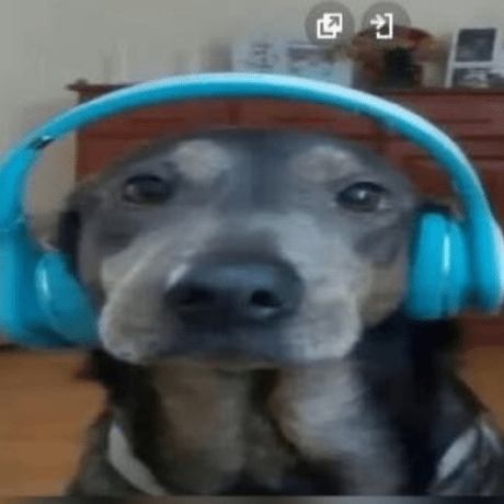 Calicoissleepy Calico Github - Best Sunset Wallpapers in 4K