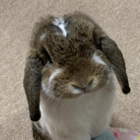 Nec Takahashi Hisaya Github - Landscape Wallpapers - High Quality Retina Collection