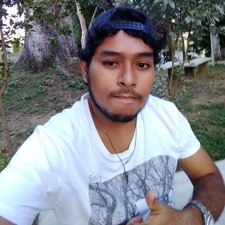 Devgustavoperez Gustavo Perez Github - Premium Nature Image Gallery - Full HD