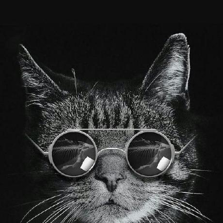 Ozzy0s Ozzy Github - Light Illustrations - Stunning Retina Collection