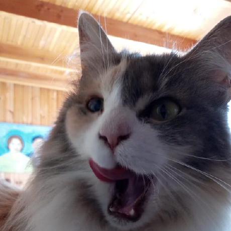 Github Lingasdj Skyhell - Ocean Wallpaper Collection - 8K Quality