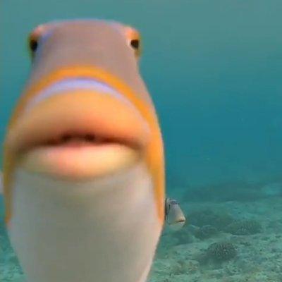 Dagar Daniel Agar Github - Download Premium Mountain Texture | Ultra HD