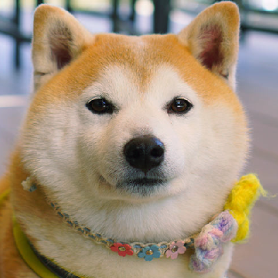 Moonheart08 Moony Github - Download Premium Vintage Wallpaper | 8K