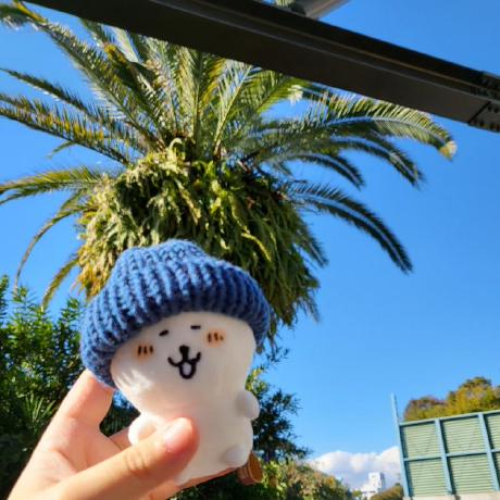 Hyunnalee Hyunna Lee Github - Premium Ocean Image Gallery - 8K