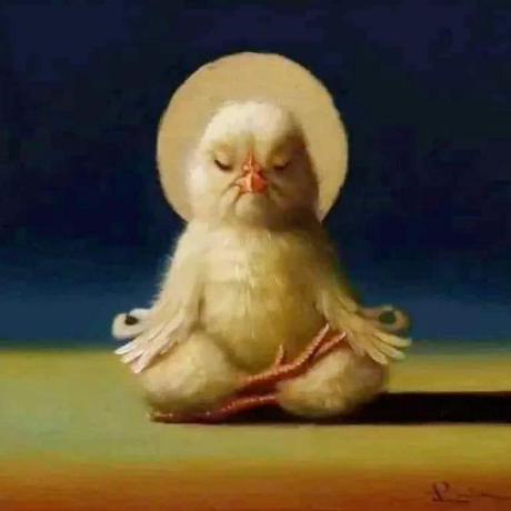 Titli19 Titli Ghorui Github - City Photo Collection - 8K Quality