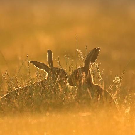 Mnj Gh Jahnavi Github - Dark Photos - Modern 4K Collection