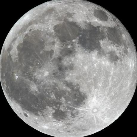 Github Firuzeabdullazade Interior Design React - Premium Light Pattern Gallery - Full HD