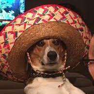 Julian Sousa Julian Sousa Araujo Github - 8K Colorful Textures for Desktop