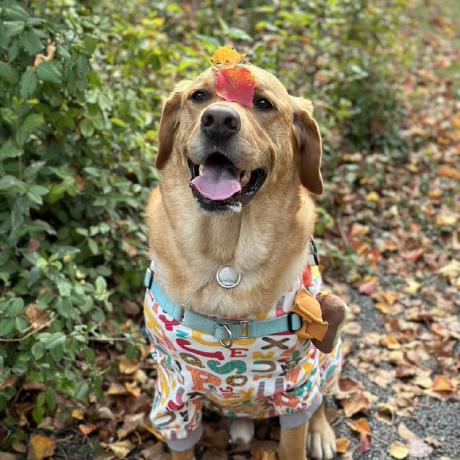 Obiwan90 Obiwan Github - Modern HD Landscape Photos | Free Download