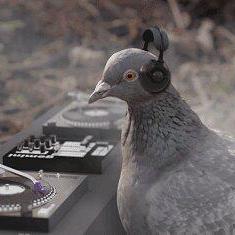 Bill Brass Github - Premium Ocean Picture Gallery - Desktop