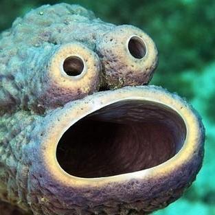 Koichi Noguchi Github - Download Incredible Dark Design | High Resolution