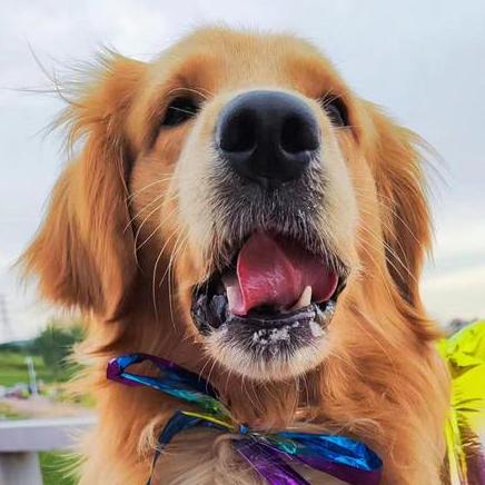 Dai Weiye Github - Dark Textures - Amazing High Resolution Collection