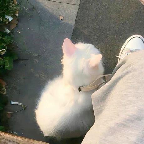 Toki Ai Anh дђг O вђўбґ вђў в Github