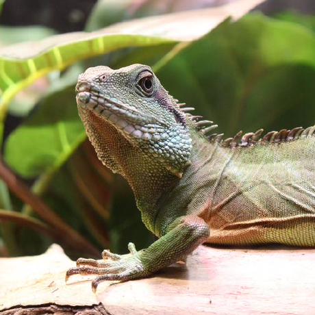 Grimm 745 Github - Premium Mountain Texture Gallery - Desktop