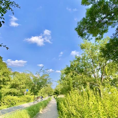 Hsh Bme Vertiefung Github - Download Classic Light Texture | Full HD