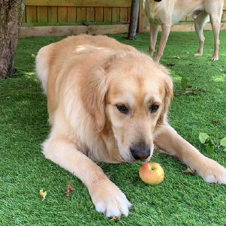 Jp Bailey Josiah Bailey Github - Best City Pictures in Mobile