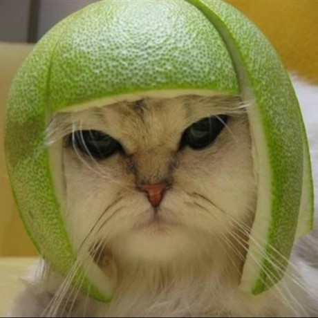 Github Fuzzdb Project Fuzzdb Dictionary Of Attack Patterns And - Landscape Texture Collection - Mobile Quality