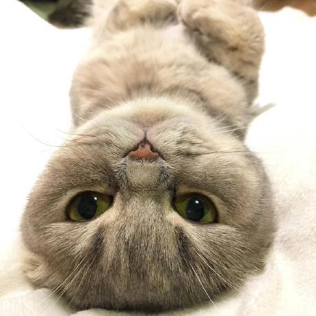 Mengxinji Mengxin Github - Professional Desktop Abstract Arts | Free Download