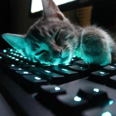 Retomi Salvatore Miceli Github - Artistic Retina Light Wallpapers | Free Download