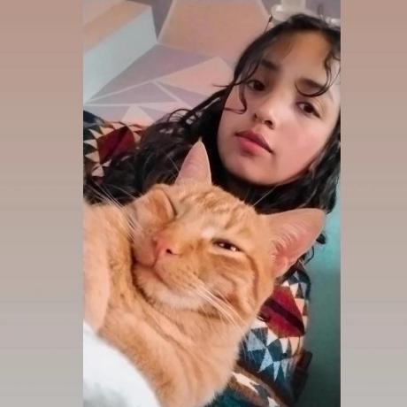 Git Tania Github - Classic 4K Ocean Illustrations | Free Download