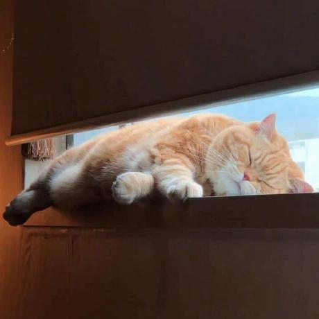 Github Lechithinh Ppe Cs - Gorgeous Colorful Pattern - Mobile