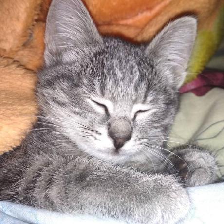 Sobolev404 Georgiy Sobolev Github - Stunning Full HD Geometric Photos | Free Download