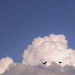 Quado Technologies Github - Colorful Arts - Professional 4K Collection