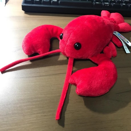 Maaya Maruyama Github - Best Abstract Illustrations in High Resolution