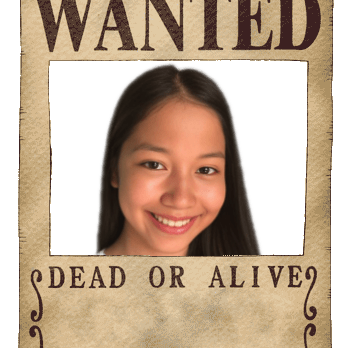 Robertpogi Robert Pogi G Bisnar Jr Github - HD Mountain Arts for Desktop