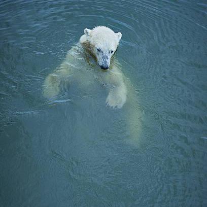 Yngdx O Neal Github - Ocean Images - Amazing Desktop Collection