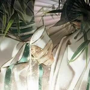 Github Jacaranda Mimosifolia 014 Turtle - Full HD Minimal Illustrations for Desktop