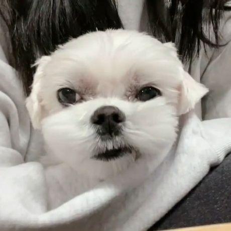 Pain Creator Github - Geometric Illustration Collection - Full HD Quality