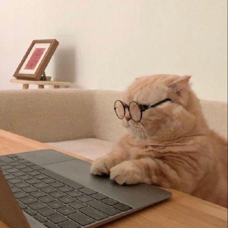 Hanhzp Hanh Le Github - Download Perfect Vintage Photo | Full HD