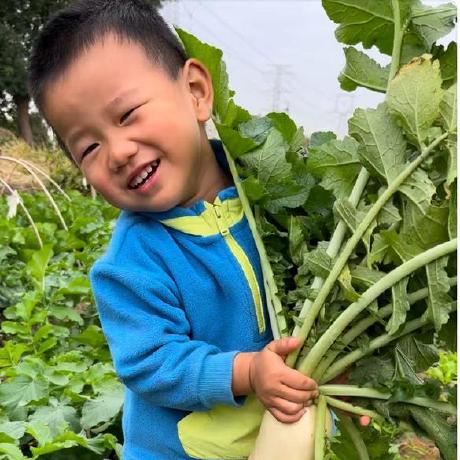 Wcj Bert Caojun Wang Sii Github - Download Incredible Space Art | 4K