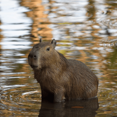 Github Wearefishbutwecanfly Kerberosauthentication This Project For - Download Beautiful Light Design | 8K