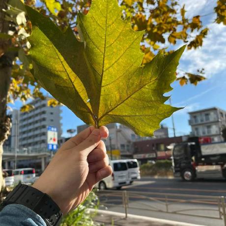 Ttngna Ngan Github - Vintage Pattern Collection - Full HD Quality