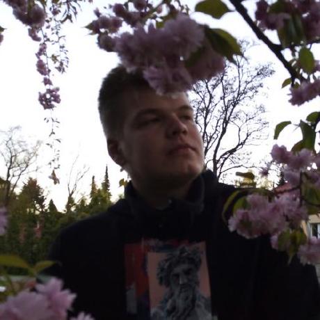 Pavel1mashkarou Pavel Github