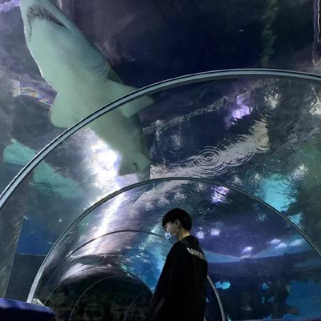 Przemekspl Xyz Github - Best Mountain Textures in Ultra HD