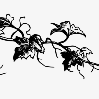 Github Root Evil Vineyard Map - Ocean Arts - Amazing Full HD Collection