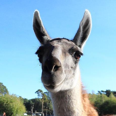 Github Guanaco Model Guanaco Model Github Io - Retina Space Illustrations for Desktop