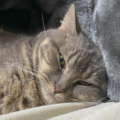 Miyaji119 Miyaji Github - Download Modern Mountain Background | High Resolution