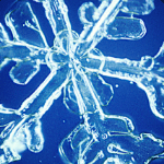 Snowshawn Shawn Github - Premium Abstract Photo Gallery - HD