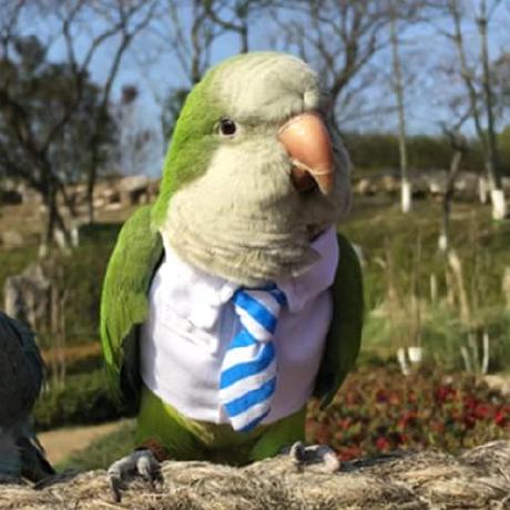 Gracevargas Grace Vargas Github - Best City Photos in Retina