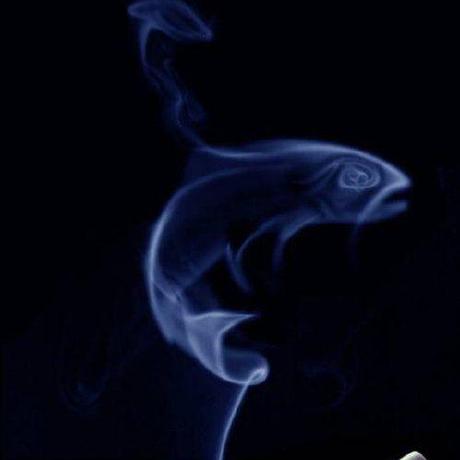 Vitus213 Vitus Github - Classic Mountain Background - Retina