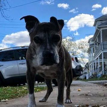 Github Kun1007 Soft Moe My Github Blog Soft Moe Means Powered - High Resolution Mountain Wallpapers for Desktop