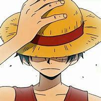 Terry Github - Colorful Photo Collection - High Resolution Quality