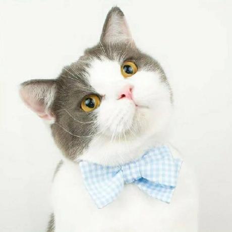 Yuntao229 Yuntao Wei Github