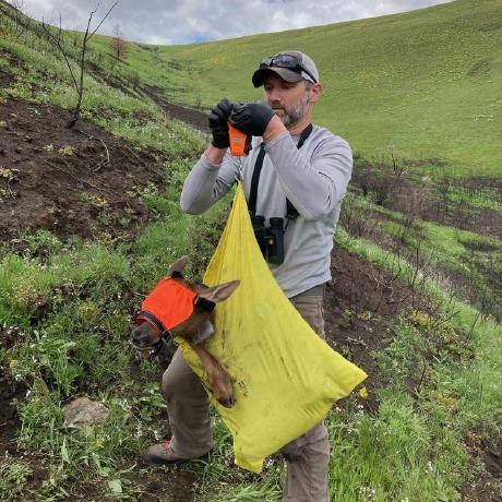 Peckham Tavish Github - Landscape Textures - Elegant 8K Collection